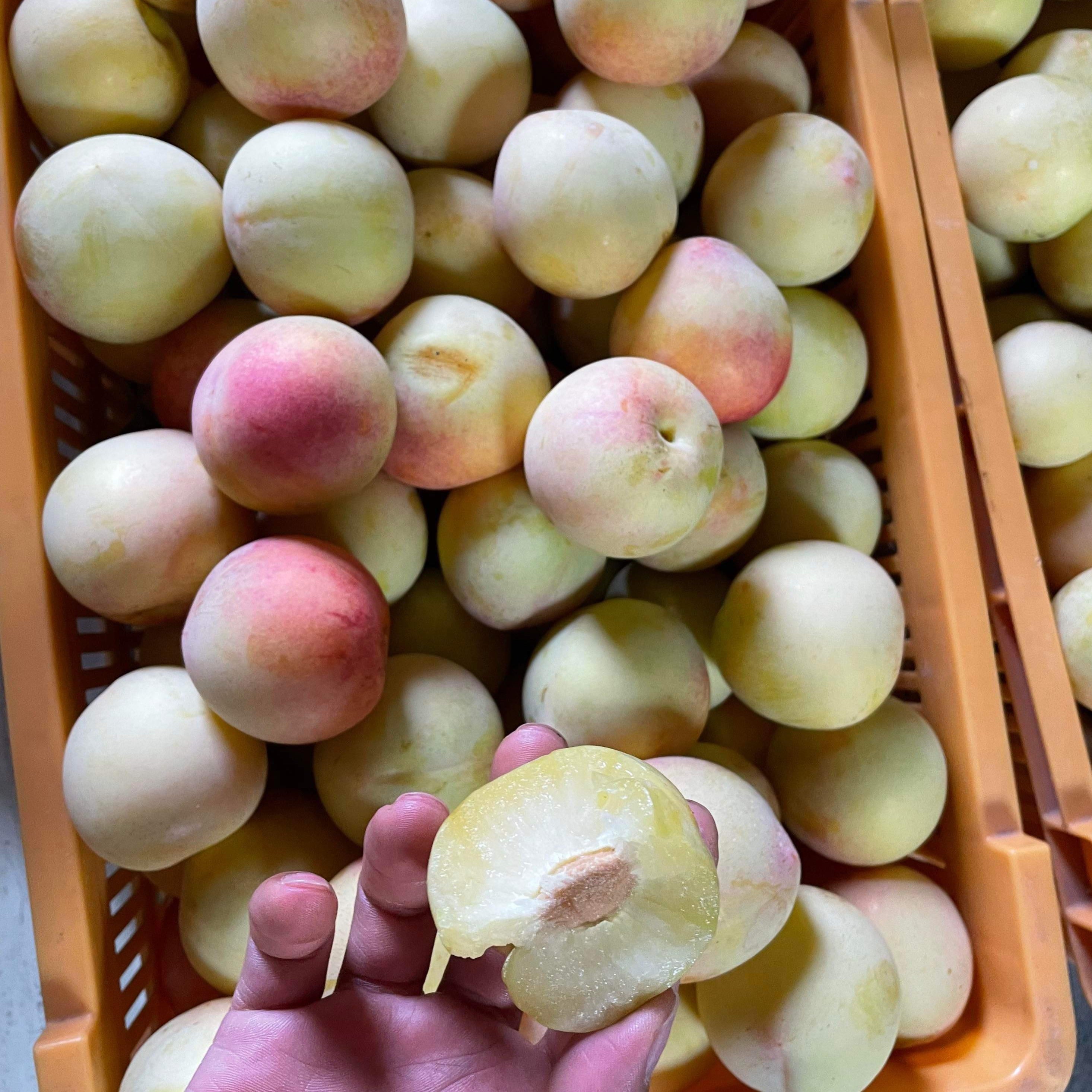 Mận Vàng tươi 1kg