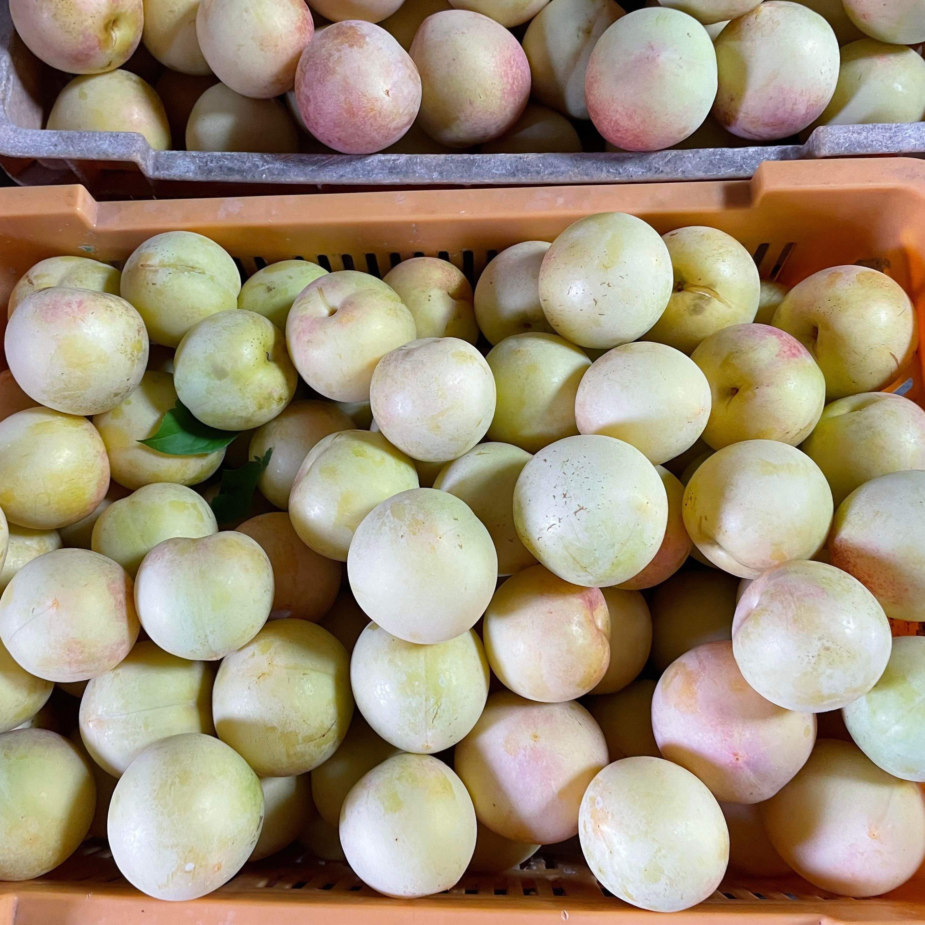 Mận Vàng tươi 1kg