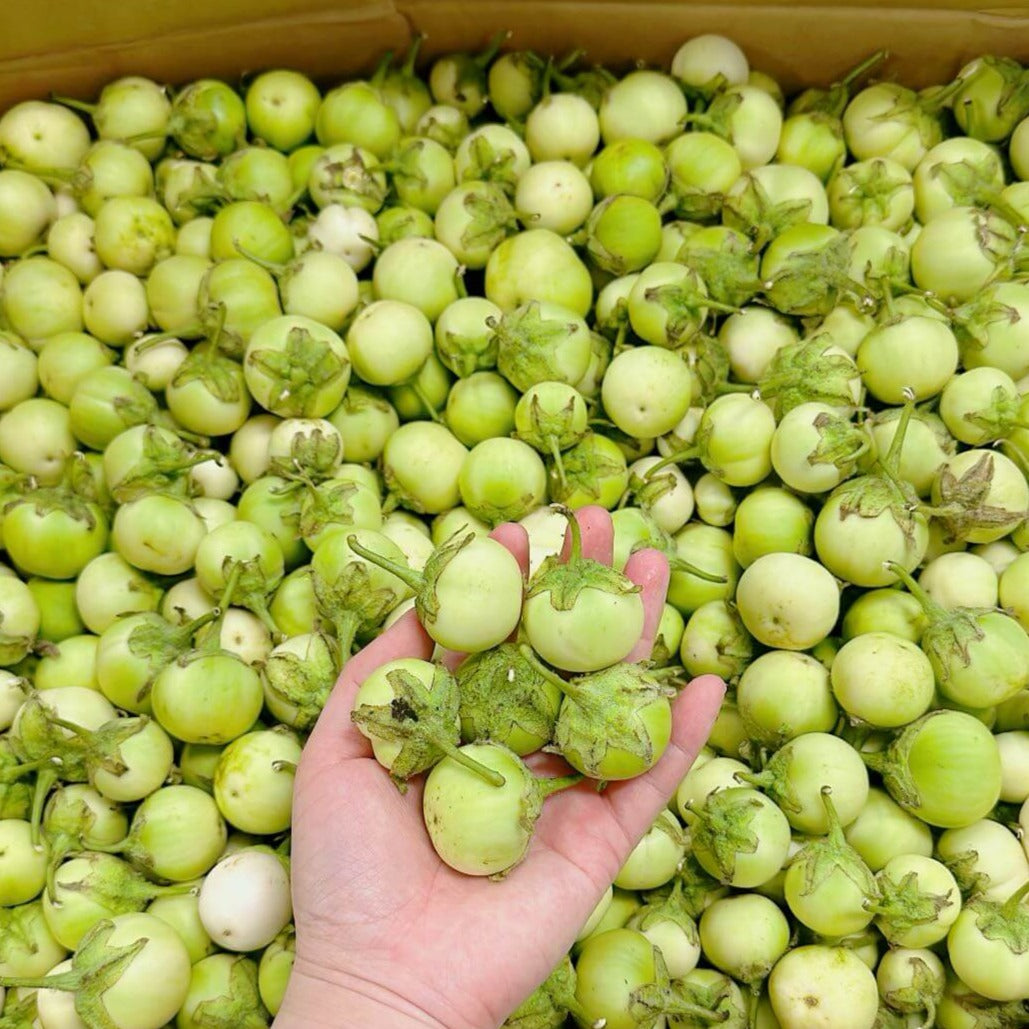Cà pháo tươi (xanh)