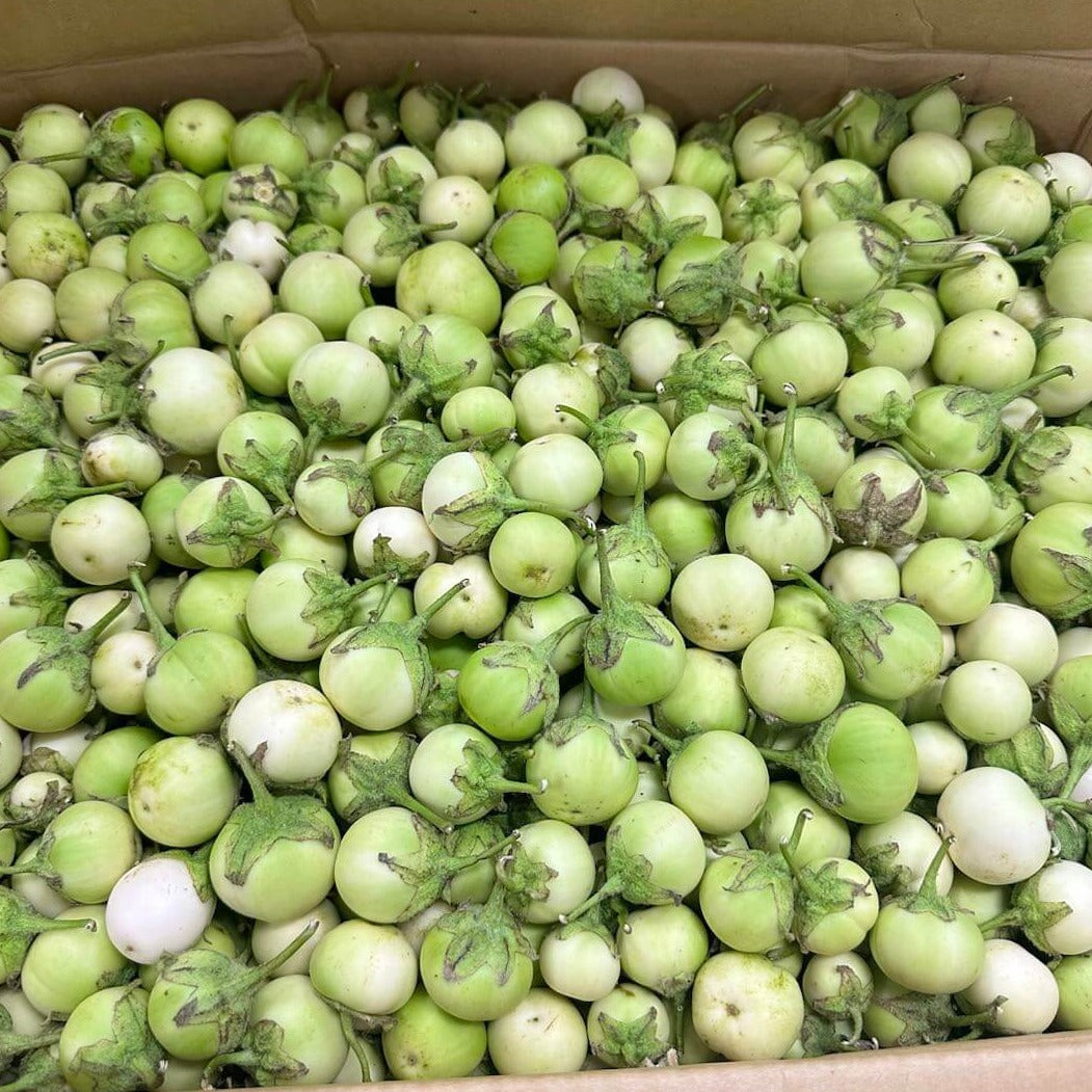 Cà pháo tươi (xanh)