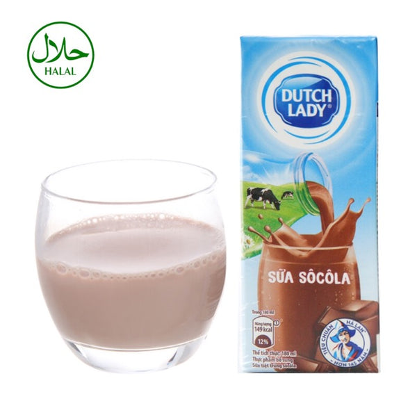 Dutch Lady Fresh Milk - Chocolate Flavor